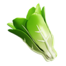 lettuce 3d illustration