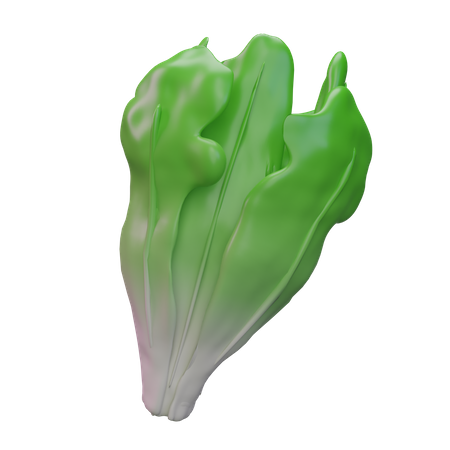 Letuce  3D Icon