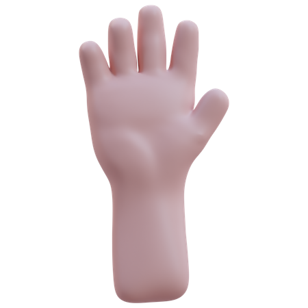 Levanta el gesto de la mano con cinco dedos  3D Icon