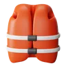 Life Vest