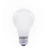 Light Bulb