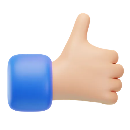 Like Hand Gesture  3D Icon