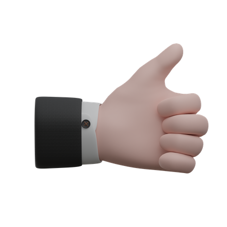 Like Sign Hand Gestures  3D Icon