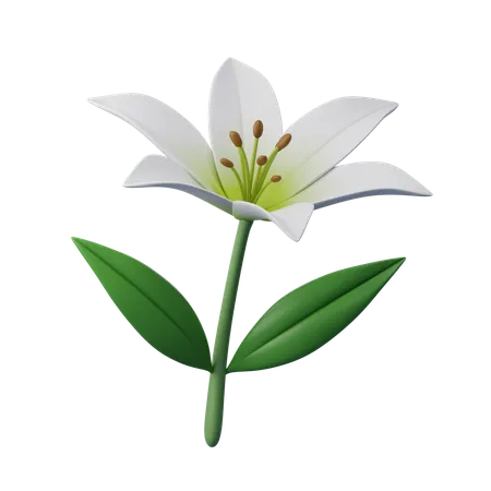 Lilienblume  3D Icon