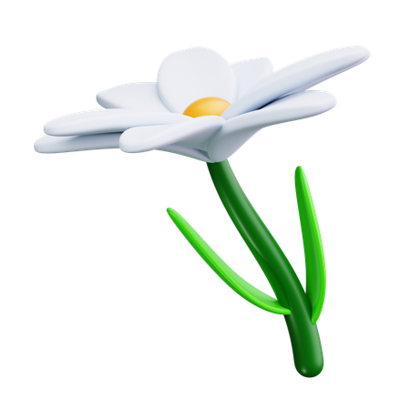 백합  3D Icon