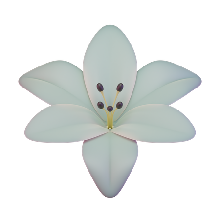 Lily  3D Icon