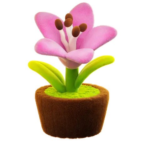 Lily Flower  3D Icon