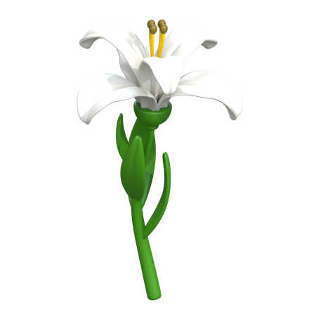 Lily Flower  3D Icon