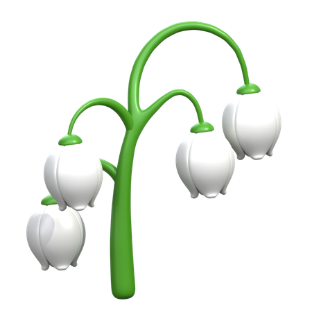Lily of The Valley Flower  3D Icon