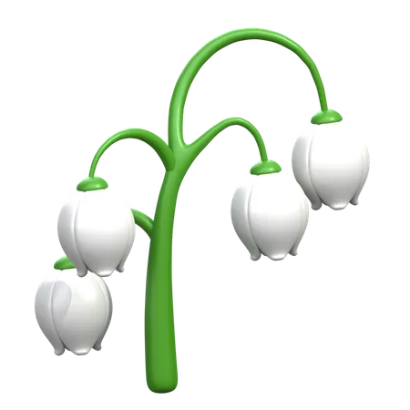 Lily of The Valley Flower  3D Icon