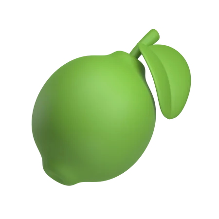 Lime  3D Icon