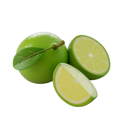 Limes  3D Illustration