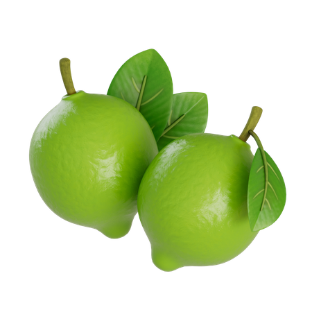 Limes  3D Illustration