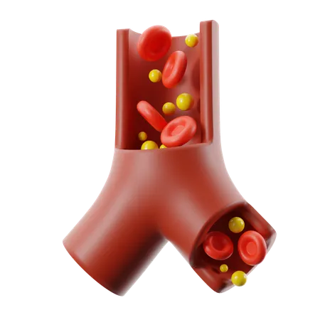 Lipid profile  3D Icon