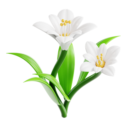 Lírio  3D Icon