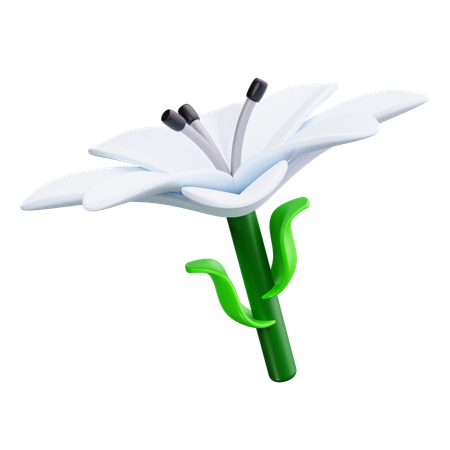 Lirio de pascua  3D Icon