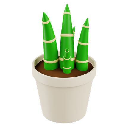 Little Bamboo Plant  3D Icon