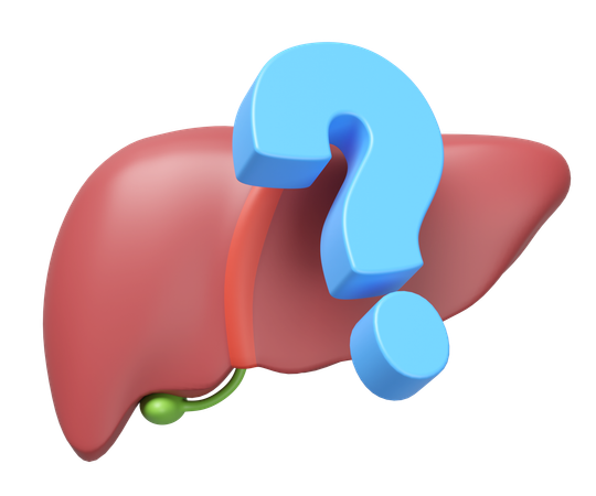 Lebenshilfe  3D Icon