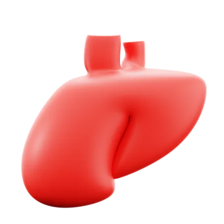 Liver Human Body Organ Medical Hospital 3 D Icon Illustration Render Design 3D Icon