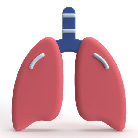Liver  3D Icon