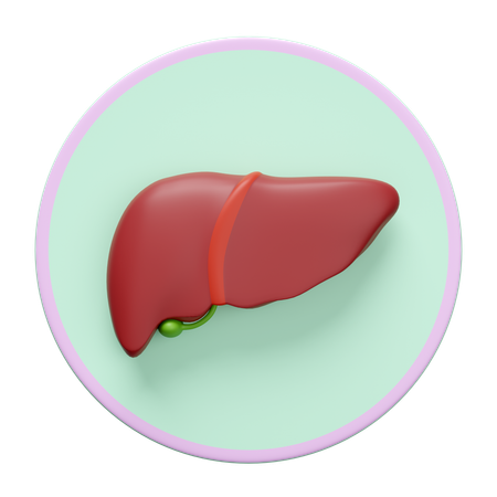 Liver  3D Icon