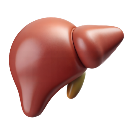 Liver  3D Icon