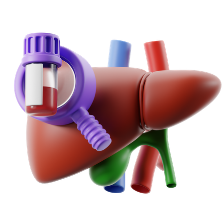 Liver  3D Icon