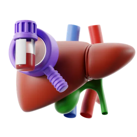 Liver  3D Icon