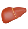 Liver