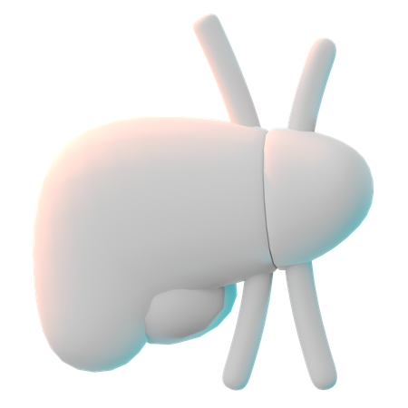 Liver  3D Icon