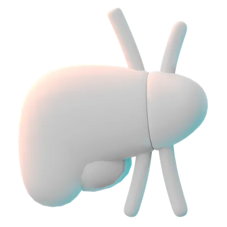 Liver  3D Icon