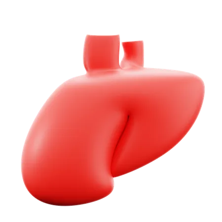 Liver  3D Icon