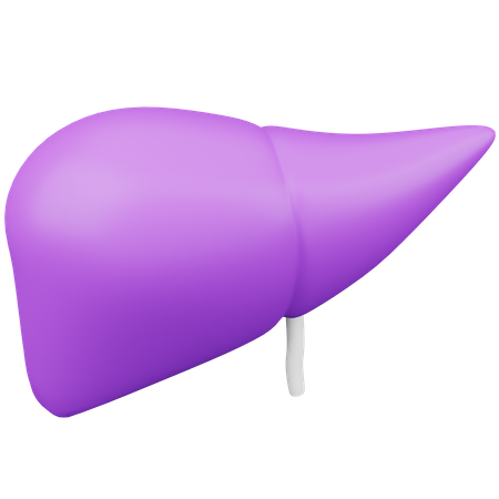 Liver  3D Icon