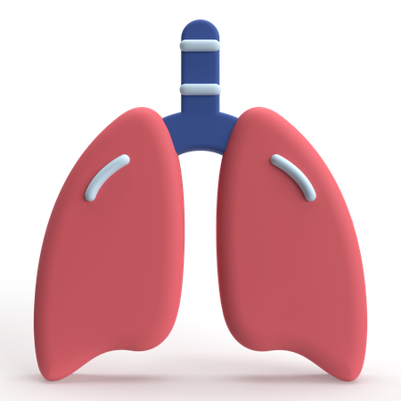 Liver  3D Icon