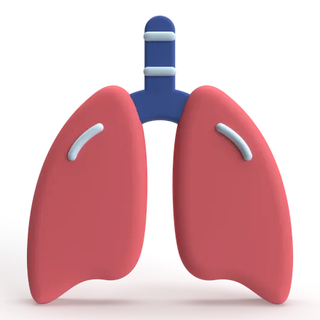 Liver  3D Icon