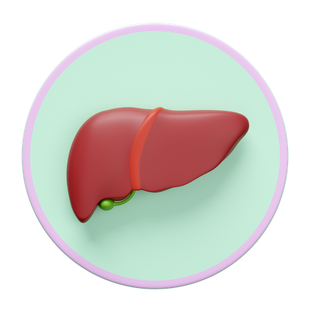 Liver  3D Icon