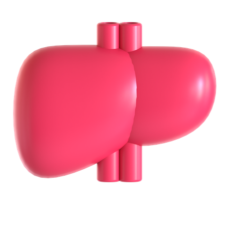 Liver  3D Icon