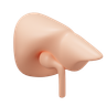 3d hepatology emoji