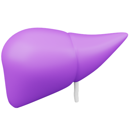 Liver 3D Icon
