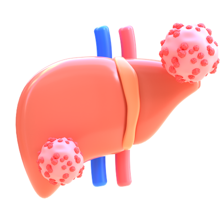 Liver Cancer  3D Icon