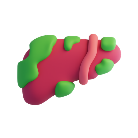 Liver cancer  3D Icon