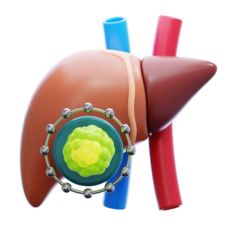 Liver Cancer  3D Icon