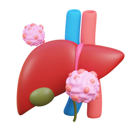 Liver cancer  3D Icon