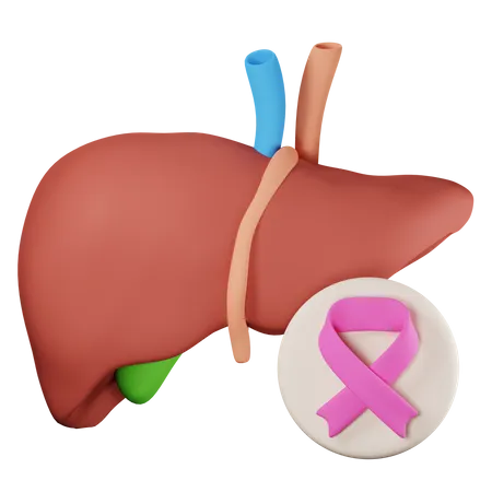 Liver cancer 3D Icon