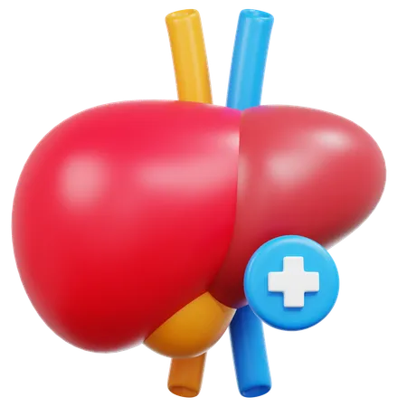 Liver Check  3D Icon