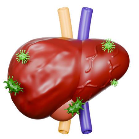 Liver Diseases  3D Icon