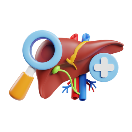 肝機能検査  3D Icon