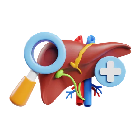 Liver Function Test  3D Icon