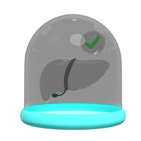 Liver In Glass Dome  3D Icon