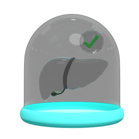 Liver In Glass Dome  3D Icon